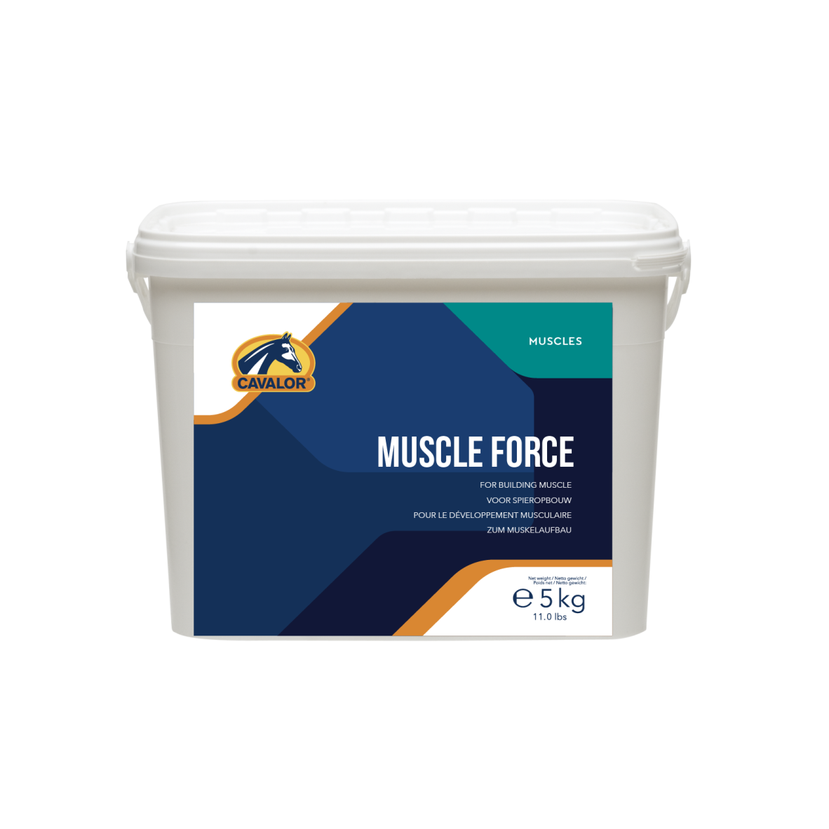 Muscle Force