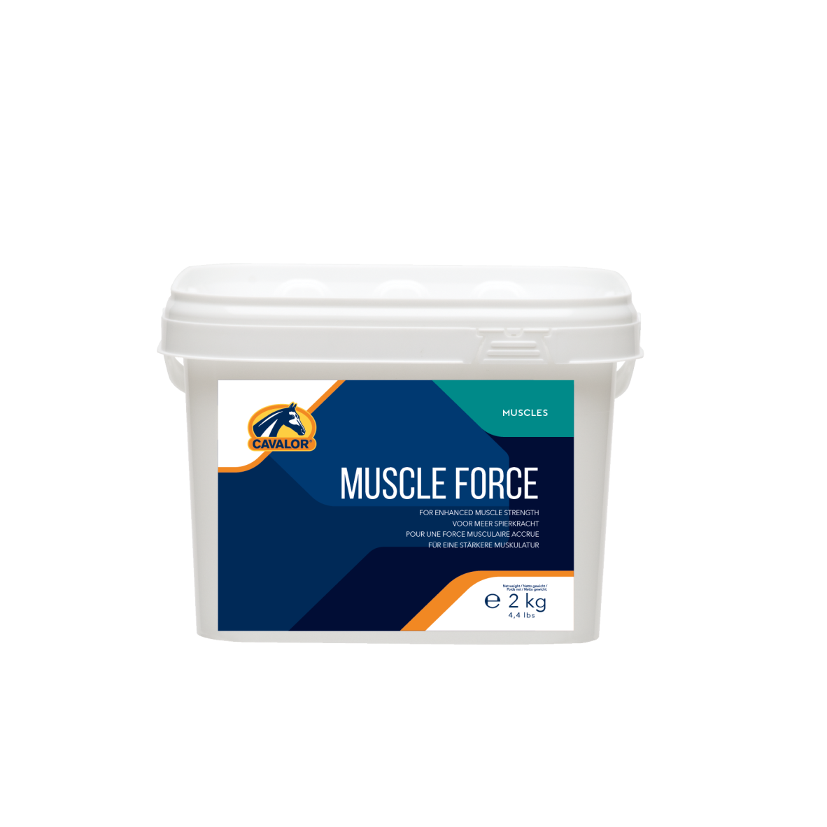 Muscle Force