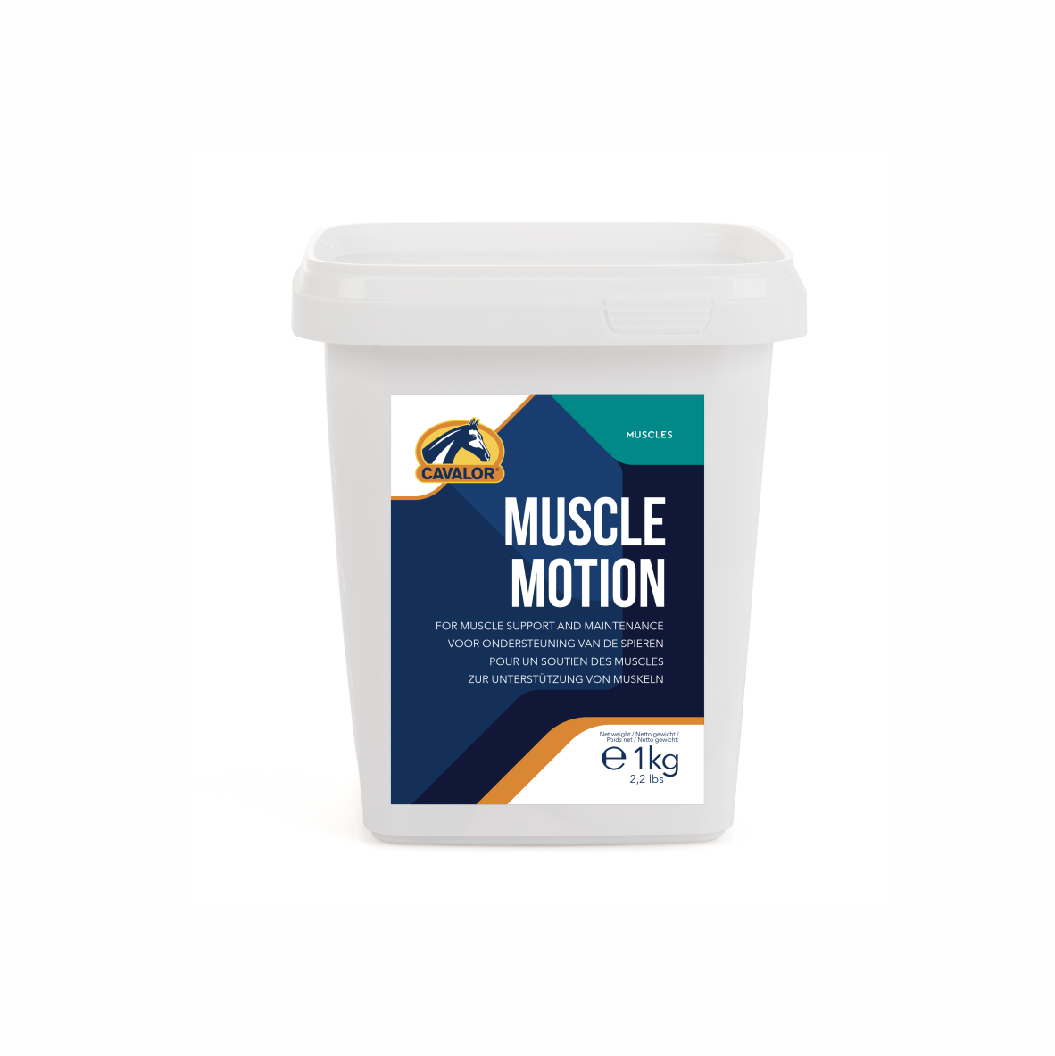 Muscle Motion